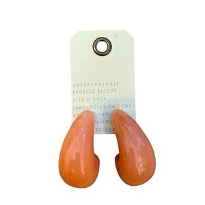 NWT Anthropologie earrings